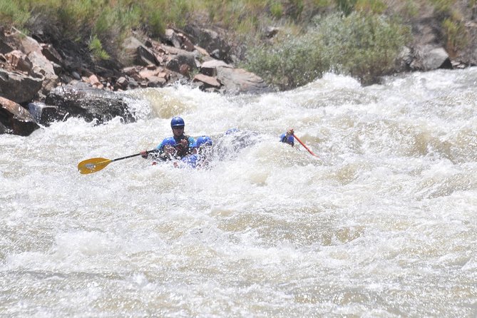 Royal Gorge Half-Day Rafting Trip - Rock jumps, wildlife, and views beneath the bridge