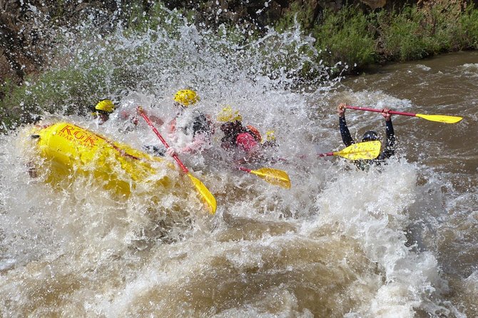 Royal Gorge Rafting Half Day Tour (FREE wetsuit use!) - Class IV Extreme fun! - The guide is the key part of the experience