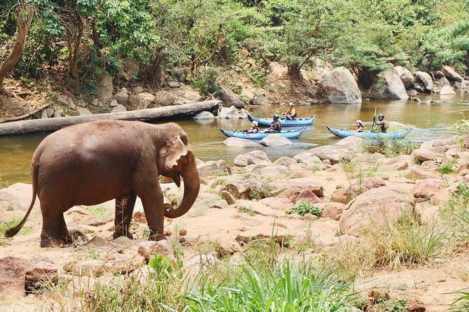 Safety whitewater rafting in Chiangmai by Khampan Rafting - Who Will Enjoy This Chiang Mai Rafting Trip?