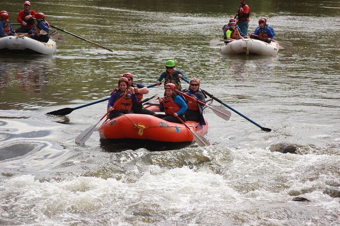 Salt River Half-Day Whitewater Rafting Adventure - Why the $125 price can make sense