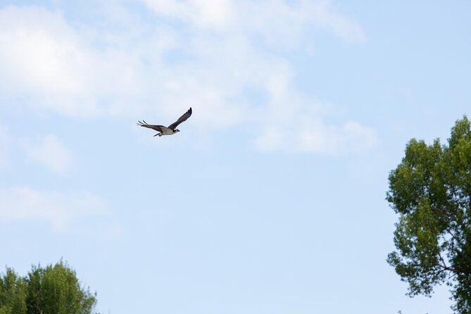 Scenic Wildlife Float Trip with Teton Views - What the Guides Add