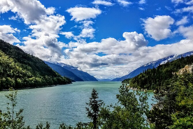 Skagway Shore Excursion: Scenic River Float Tour - The guides are a major part of the value