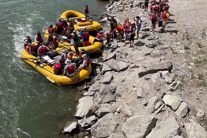 Snake River Scenic Float Trip with Teton Views in Jackson Hole - Wildlife watching without a promise