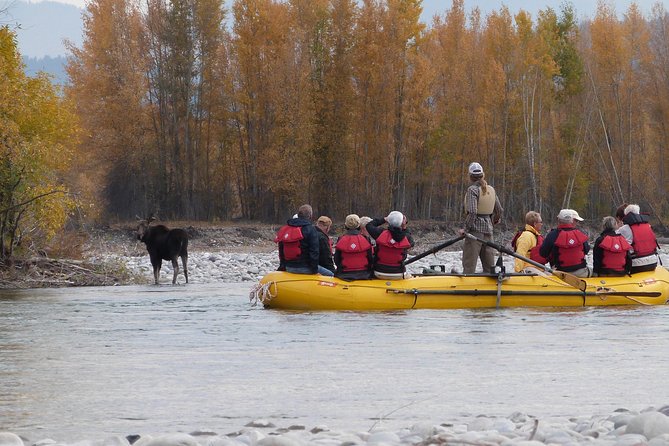 Snake River Scenic Float Trip with Teton Views in Jackson Hole - What the guides add to the ride