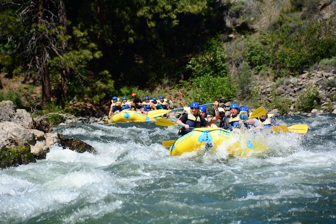 South Fork, American River: Chili Bar (Class III+ Whitewater) - Who gets the most value from the $115 price