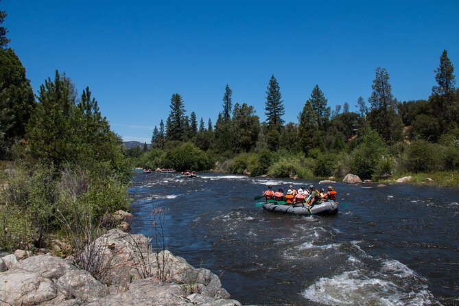 South Fork American River Whitewater Rafting Trip (Class 3+) - Booking details worth taking seriously