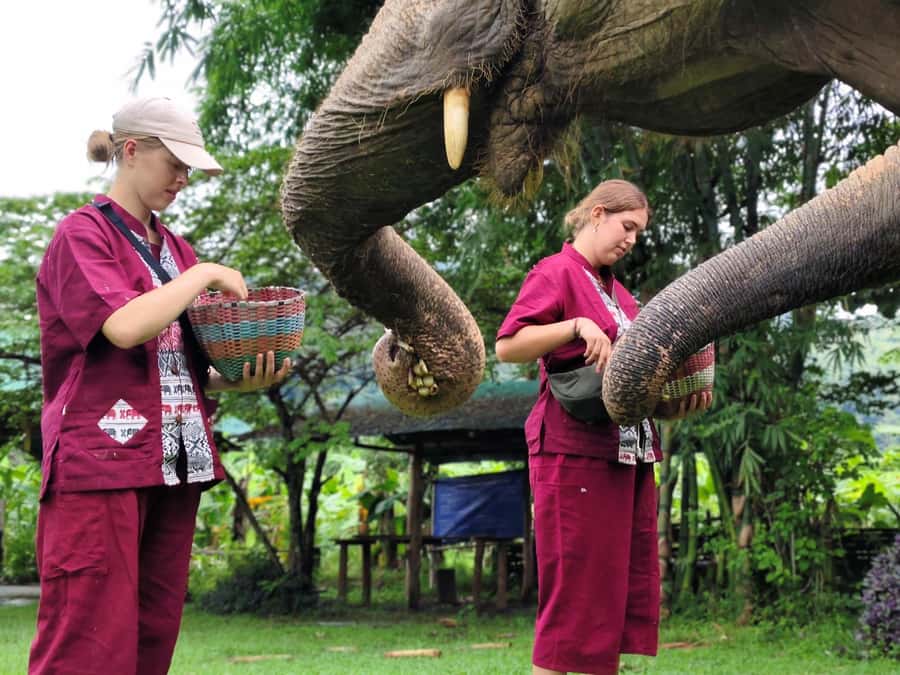 Sticky waterfalls- Elephants- Bamboo or White water rafting. - Meeting elephants at a no-riding sanctuary