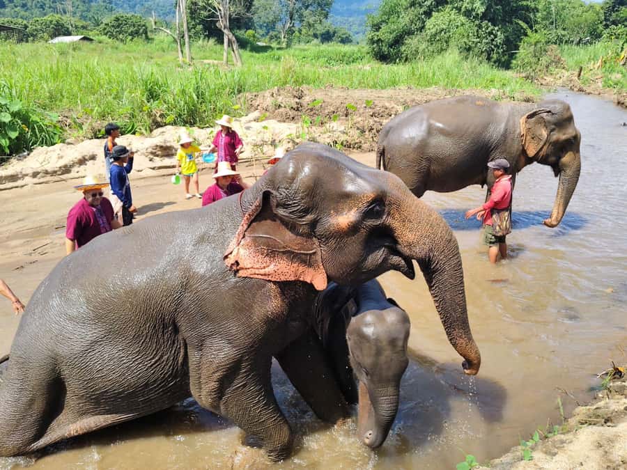 Sticky waterfalls- Elephants- Bamboo or White water rafting. - What the van ride adds, and what it takes away