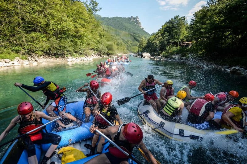 Tara Canyon: One Day Tara Rafting Trip - Meeting at Divlja Rijeka Camp at 10:00