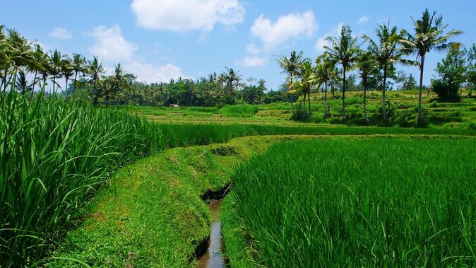 Telaga Waja Rafting and Bali Horse Riding Packages - Key points at a glance