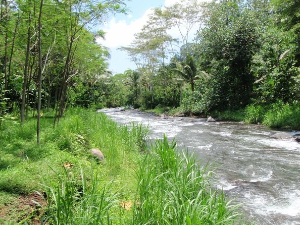 Telaga Waja River Rafting Bali & Zipline (Less Stairs) - Why Telaga Waja is a good choice for active Bali days