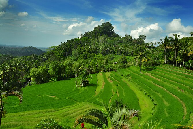 Telaga Waja White Water Rafting and Besakih Temple Tour - Private transport and the long day