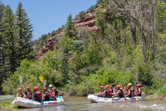 Telluride Afternoon Half Day Rafting Trip - San Miguel River - A spirited afternoon on the San Miguel River