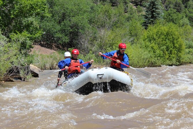 Telluride Afternoon Half Day Rafting Trip - San Miguel River - Safety instructions before the first rapid