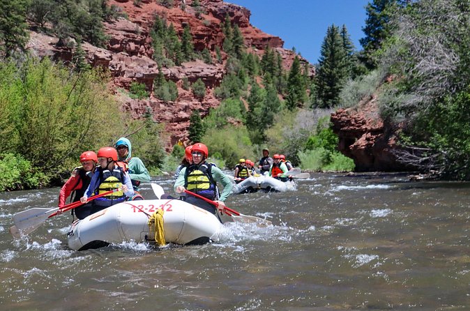 Telluride Morning Half Day Rafting Trip - San Miguel River - How the $156.87 price measures up