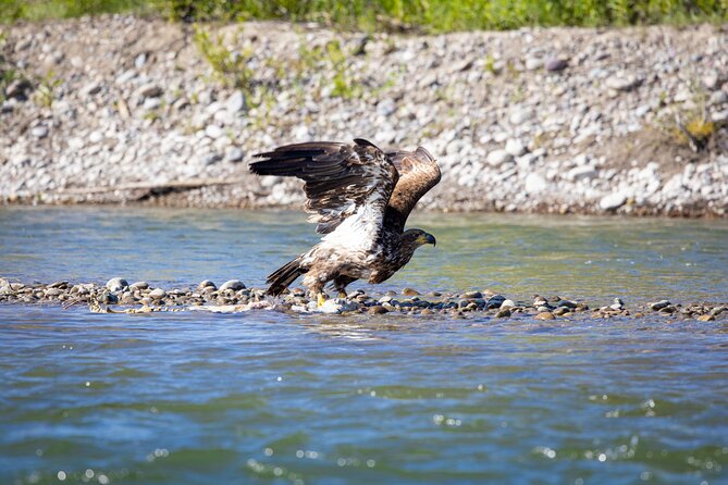 Tetons and Snake River Scenic Float Trip In Jackson Hole - Guides who shape the experience