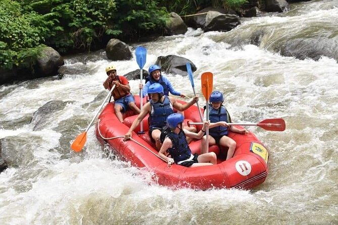The Best Ayung River Rafting Adventure in Ubud - The river run through rock, waterfalls, and jungle