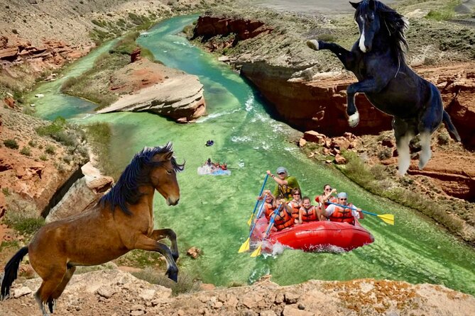The Cody Two-Step Wild Mustangs And Half Day Rafting Trip W/Lunch - Key points to know before booking