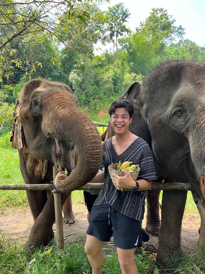 Trekking One Day+Bamboo Rafting+Jungle waterfall - The 1.5 to 2-hour trek crosses rice fields and nature