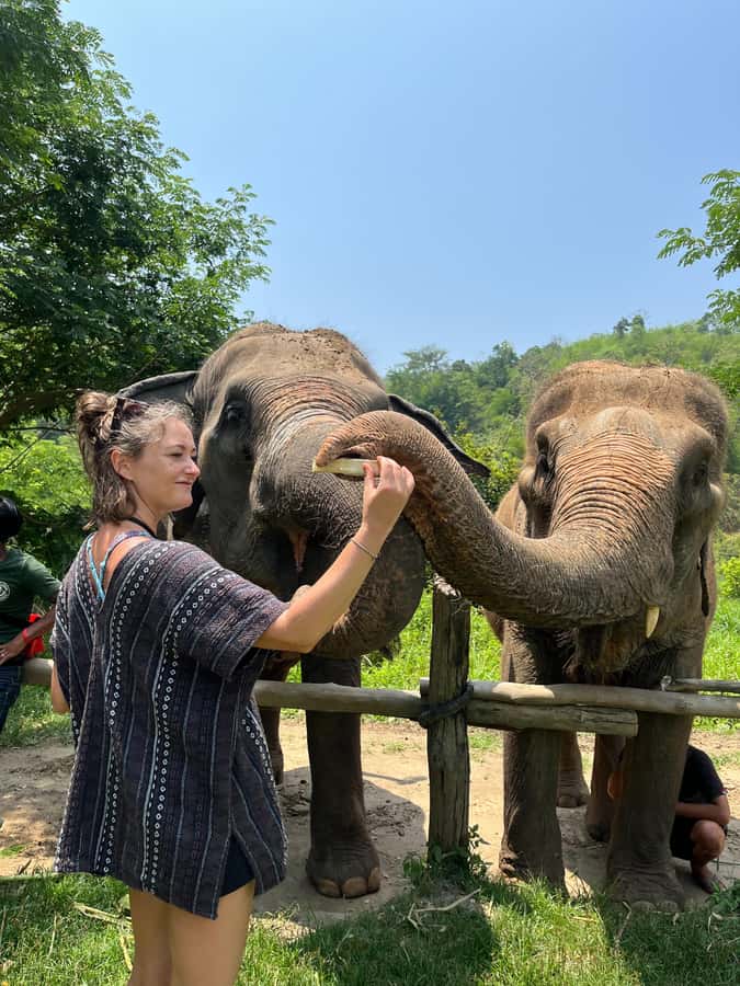 Trekking One Day+Bamboo Rafting+Jungle waterfall - The elephant camp comes before the countryside walk