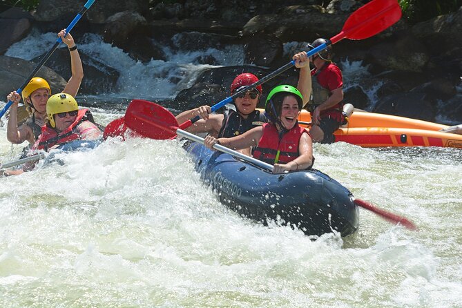 Tully River Full Day Sports Rafting - Rainforest views between the rapids