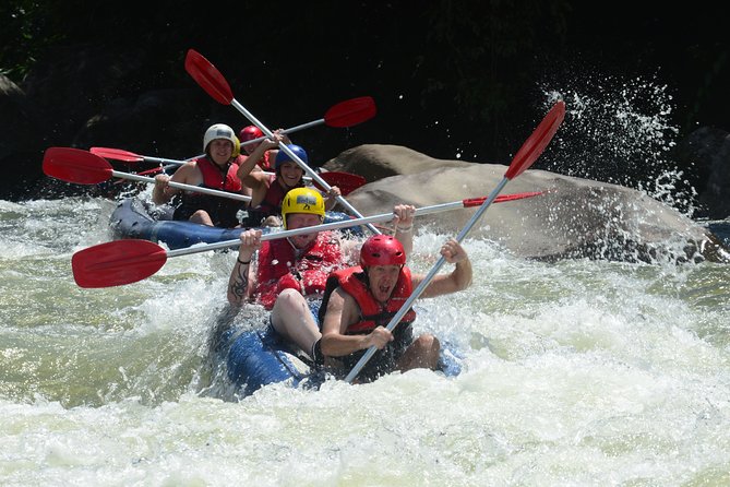 Tully River White Water Rafting Half day- from Mission Beach - Key points at a glance