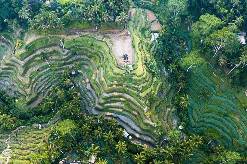 Ubud Adventure: Whitewater Rafting and Cultural Exploration - Should You Book the Ubud Rafting and Culture Experience?