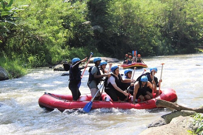 Ubud ATV Quad Bike with Ayung River Rafting Experience - ATV riding through fields, tunnels, and waterfalls