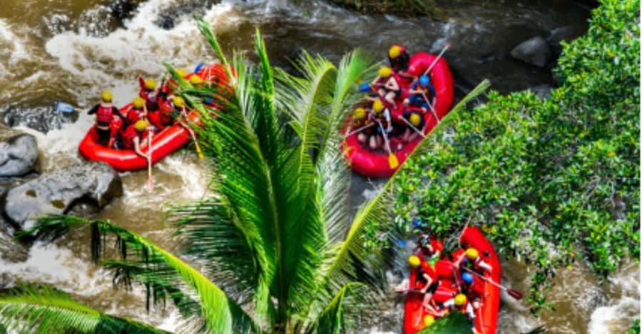 Ubud: Ayung River Rafting Adventure with Lunch and Transport - Getting to the river, by steps or zipline