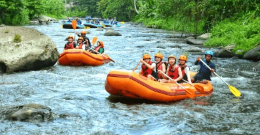 Ubud: Ayung River Rafting Adventure with Lunch and Transport - Two hours among rapids, waterfalls, and carved banks