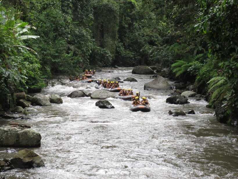 Ubud: Ayung River Rafting Include Lunch - Is $30 good value for three hours?