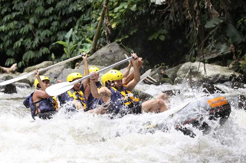 Ubud: Ayung River Rafting Include Lunch - Who will enjoy this Ayung River trip most?