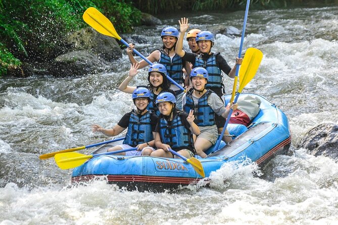 Ubud Ayung Water Rafting included Lunch and Transfer - What the rapids feel like
