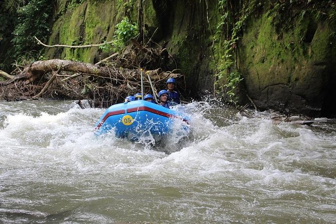 Ubud Ayung Water Rafting included Lunch and Transfer - Lunch after the river