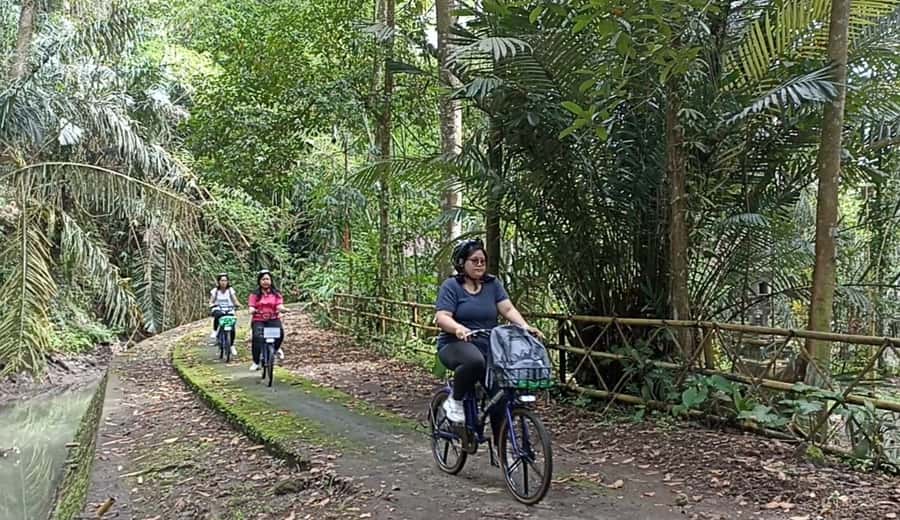 Ubud e-Bike Tour & Whitewater Rafting - Two Bali activities in one well-planned day