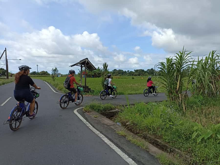 Ubud e-Bike Tour & Whitewater Rafting - Dams, waterfalls, villages, and the bamboo-built Green School