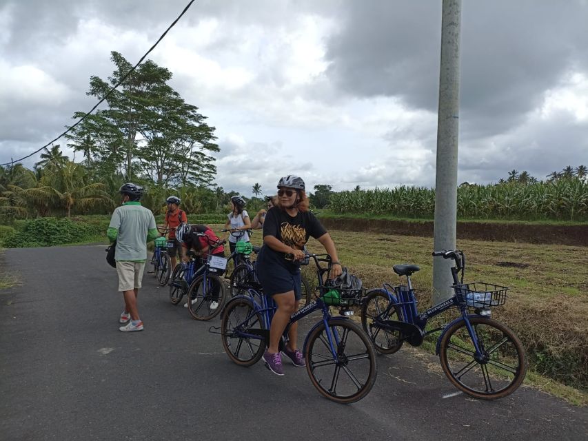 Ubud e-Bike Tour & Whitewater Rafting - Is $99 good value?