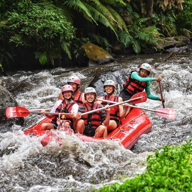 Ubud Rafting with Hotel Transfers and Lunch - Who will enjoy this rafting trip most?