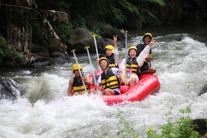 Ubud Rafting With Private Return Transport - Should you book the private Ayung rafting trip?