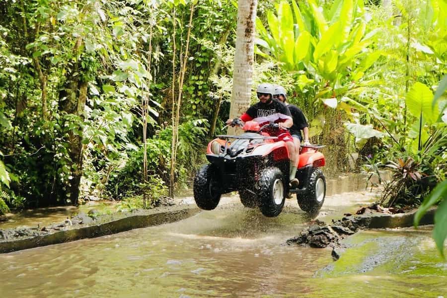 Ubud: Rice Teracces,Gorila Face ATV & Rafting - What the $24 price really means