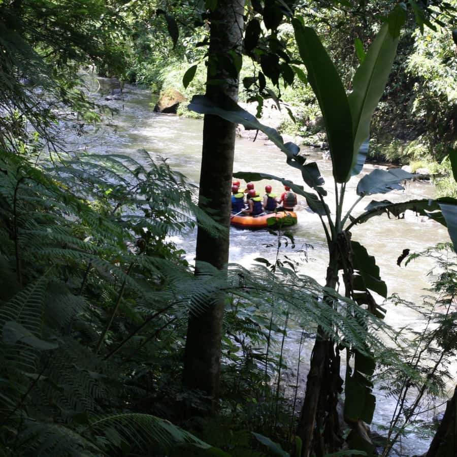 Ubud: White Water Rafting Adventure Tour - Jungle views, waterfalls, and carved cliffs