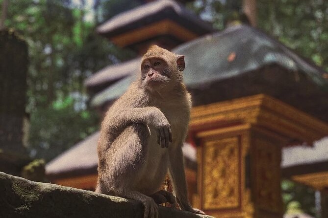 Ubud: White Water Rafting with visit Ubud Monkey Forest - Who will get the most from this tour