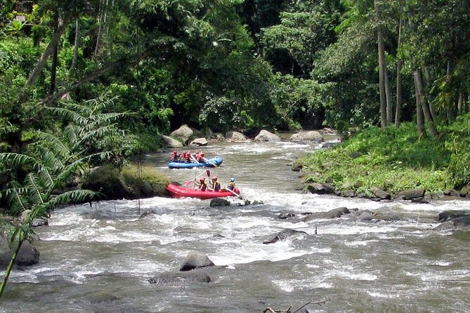 Ubud White Water Rafting with Waterfall and Lunch - Who will enjoy this Ubud rafting trip?