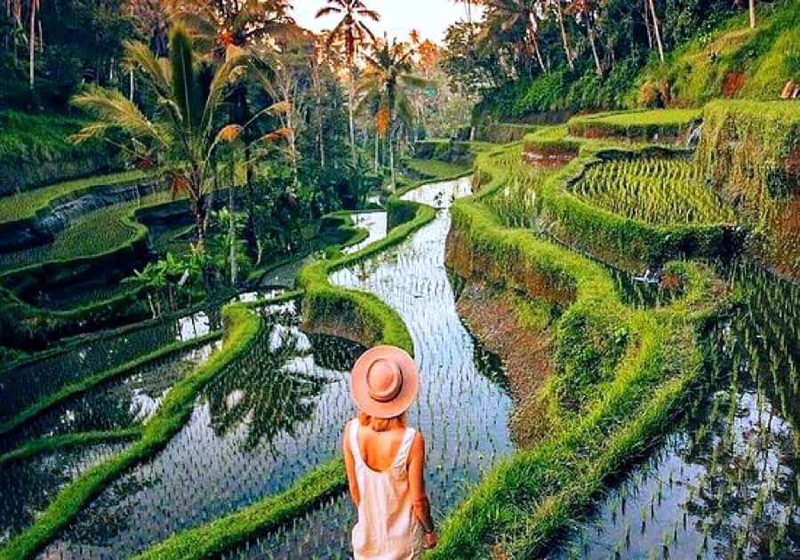 Ubud: Zip-line Adventure, River Rafting & Rice Terraces Tour - What the $22 price really buys you