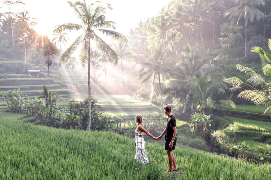 Ubud: Zip-line Adventure, River Rafting & Rice Terraces Tour - Zip-lining above the Ubud jungle