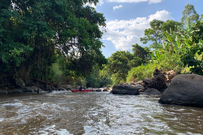 Uganda Jungle Rafting - Key points to know before booking