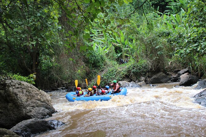 Uganda Jungle Rafting - Jungle scenery, birds, and the community stop