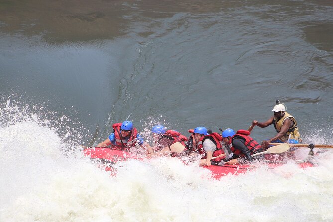 Victoria Falls: Whitewater Rafting + Chobe Safari Combo - From river adrenaline to Chobe wildlife