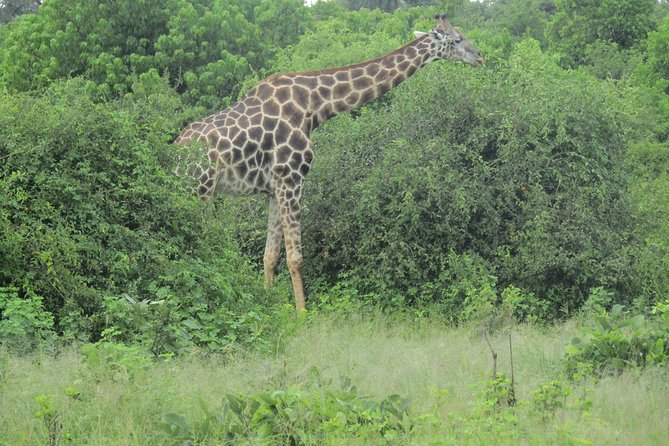 Victoria Falls: Whitewater Rafting + Chobe Safari Combo - Lunch overlooking the Chobe River