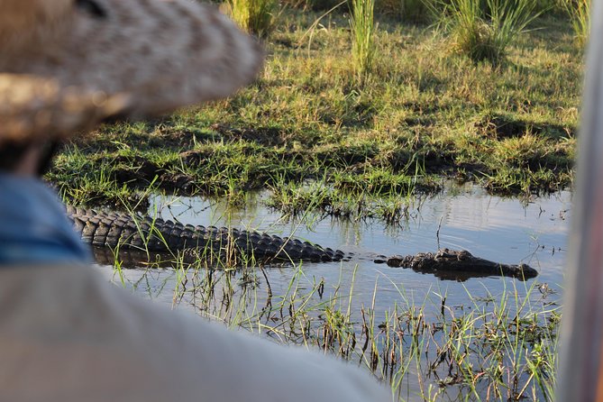 Victoria Falls: Whitewater Rafting + Chobe Safari Combo - Who will enjoy this combination most